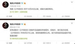 少年的你最新爆料文案,揭秘校园霸凌背后的真相与勇气